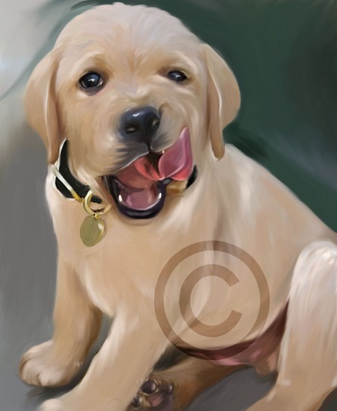 puppy