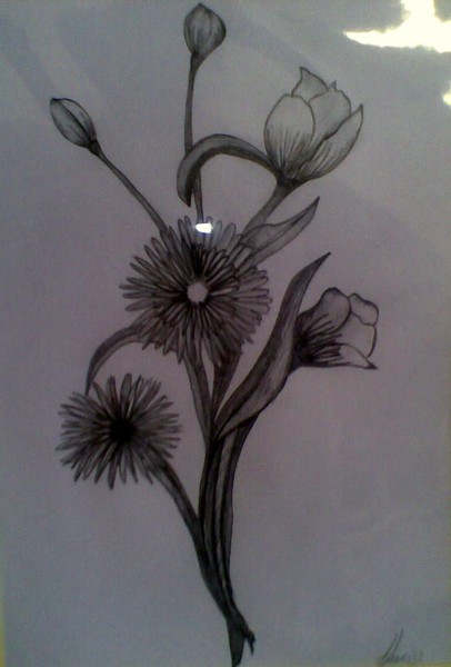 flower sketch