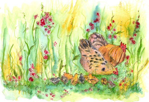 Family of Chickens