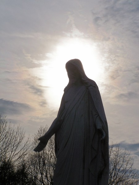 Transfiguration