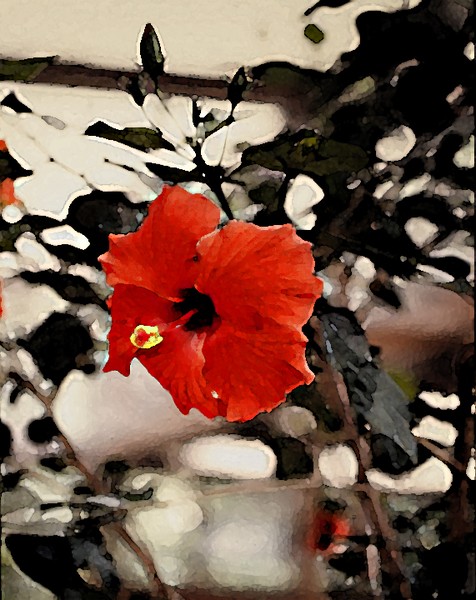 Icy Hibiscus