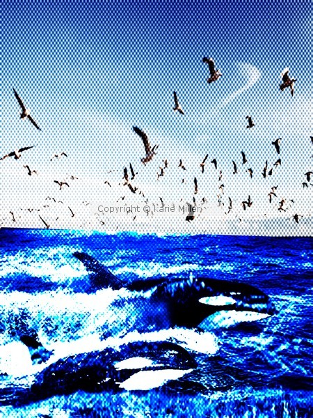 sealife