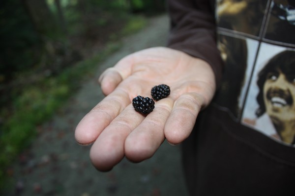 Berry?