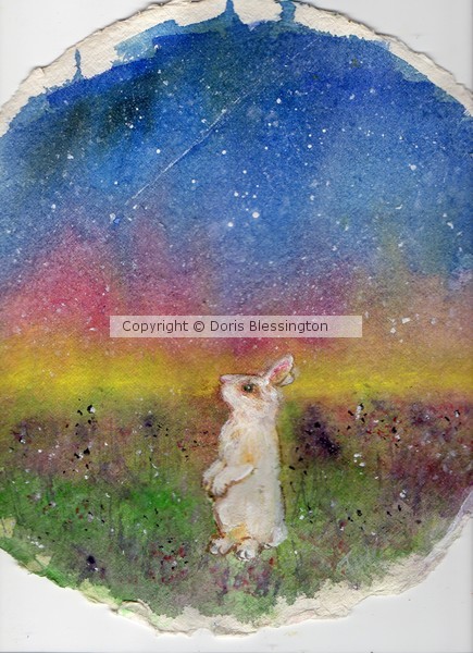 Rabbit in the Galaxy 3