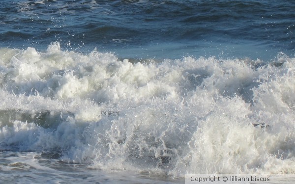 Ocean