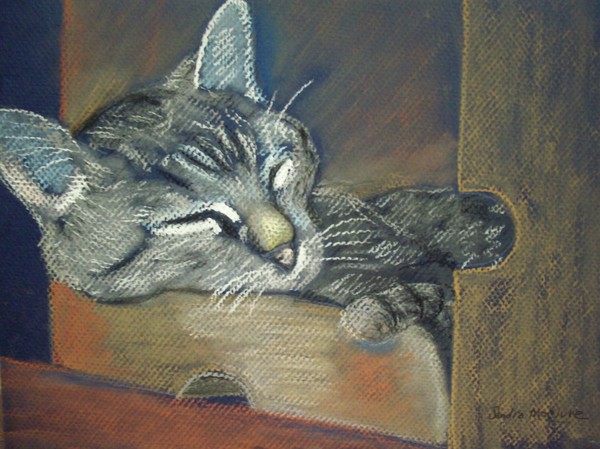 ASLEEP in a box.......