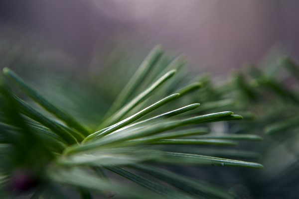 Swirl 2