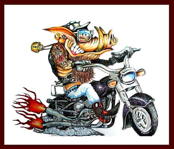 Hog on Bike