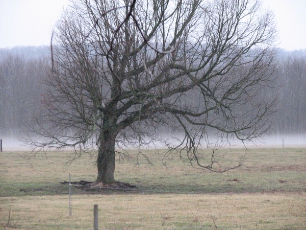 Fog rolling in