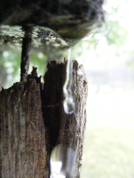Raindrop
