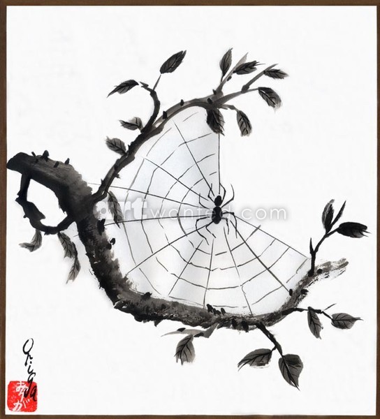 Spider Web