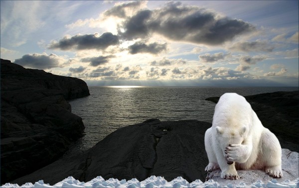 1003-Polar Midnight Sun Headache