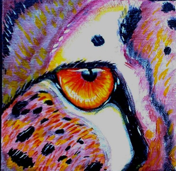 Cheetah Eye