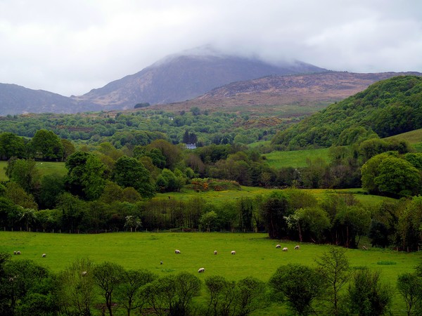 Peace on the Emerald Isle