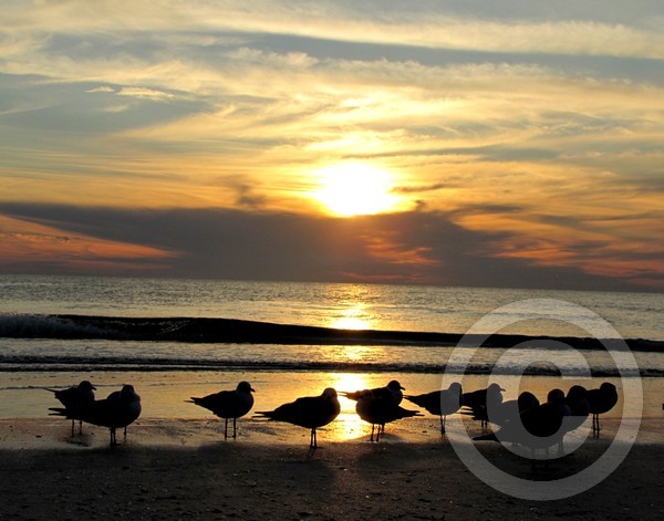 Tranquility at the beach!