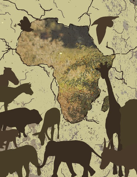 africanlionsafari8 copy