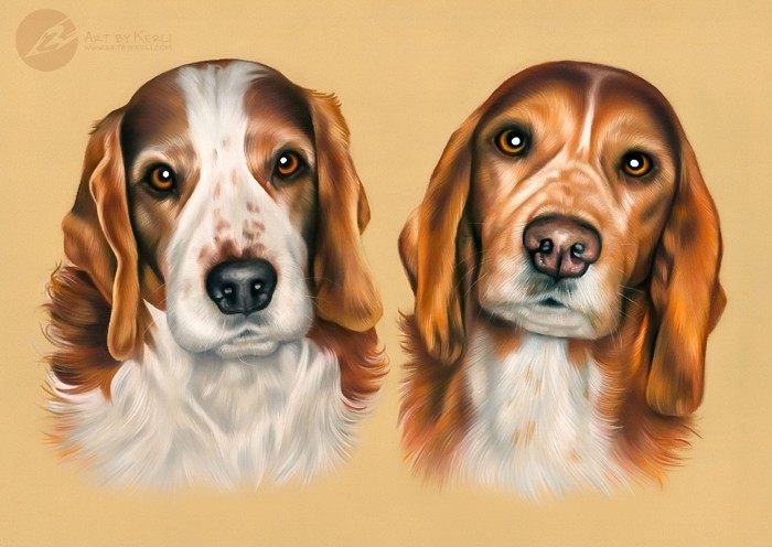 Bruno & Aksel