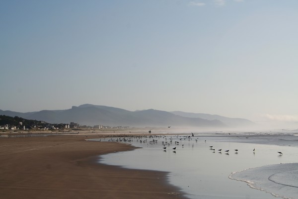 Beach Town