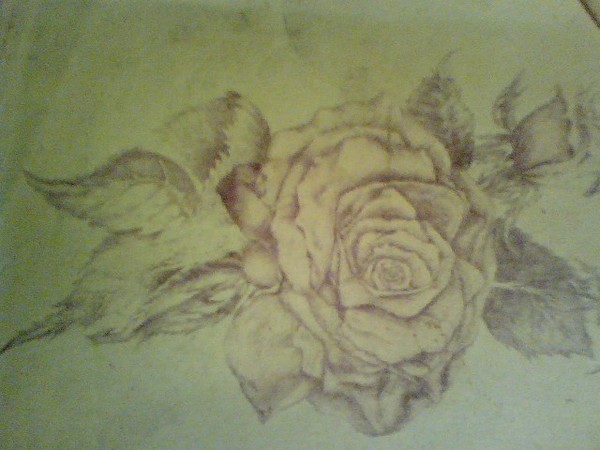 The rose