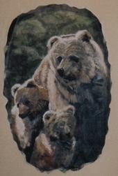 3Bears