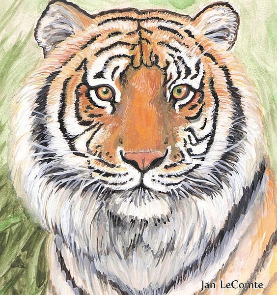 Tiger
