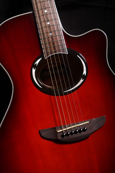 yamaha apx500