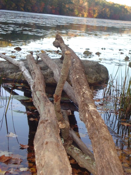 standing above water