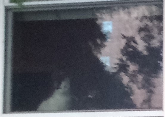 Impressionism Style photograph
