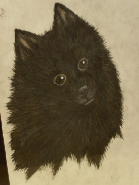 roberts artwork-burbur