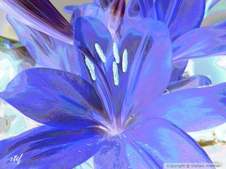 LILIblue
