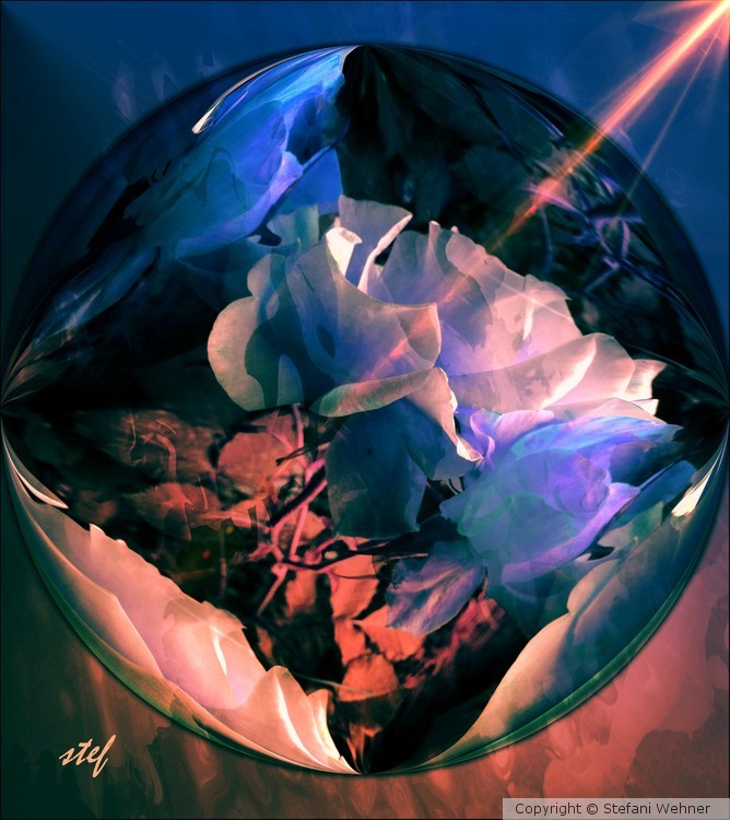 RoSeMoOn