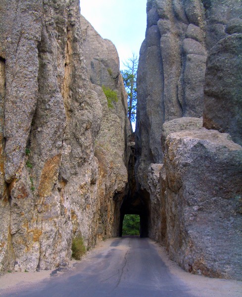 Custer State Park/SD