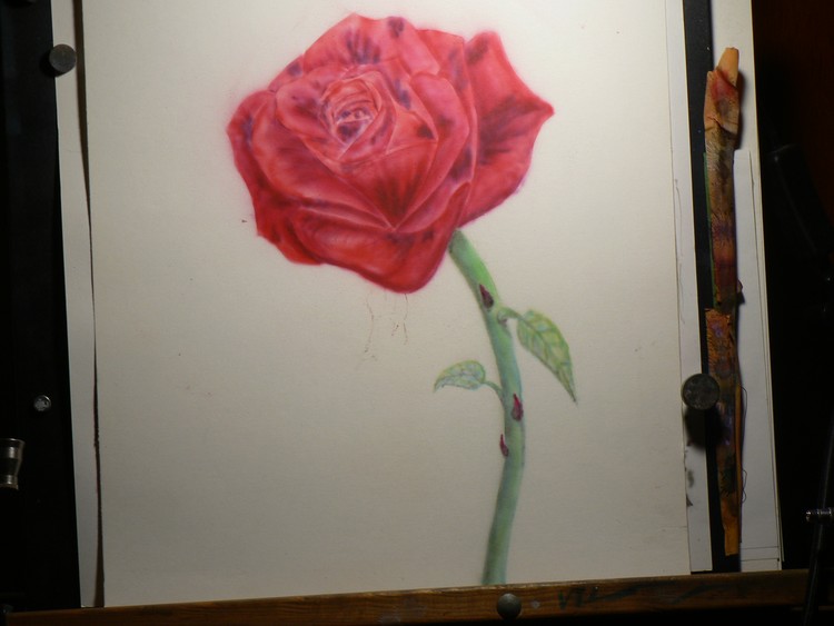 Rose