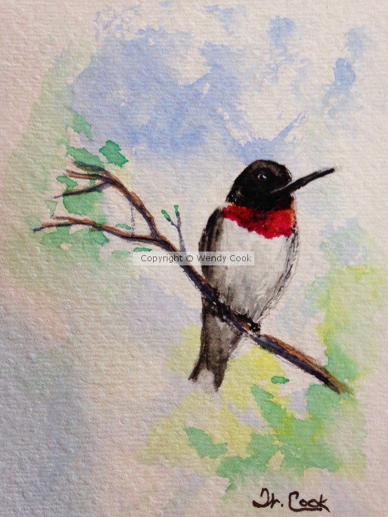 Hummingbird sitting