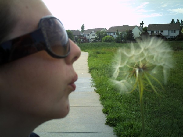 beth
