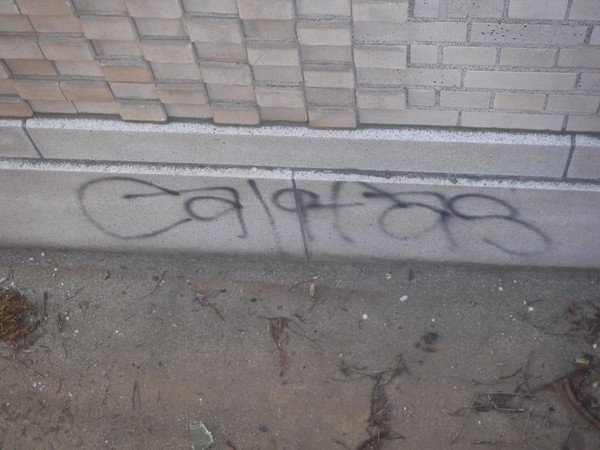 Locals Art