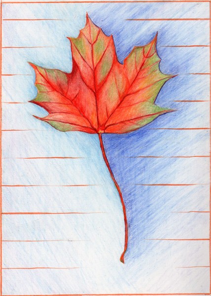Maple Leaf #1