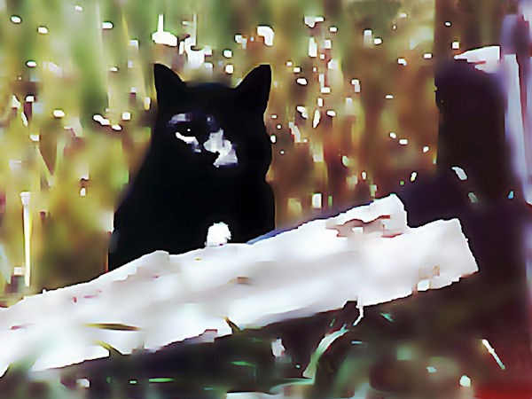 Abstract Chumble
