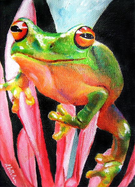 Green Tree Frog 