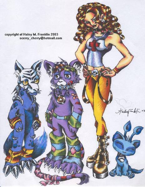 Neopets critters n such
