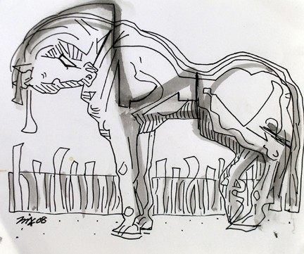 Horse 12
