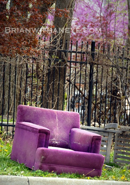 Purple Beauty