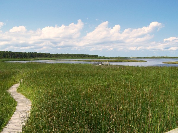 Bodie Island