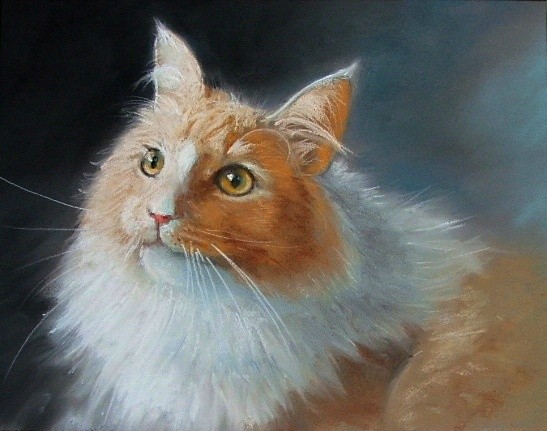cat