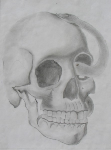 Skull 