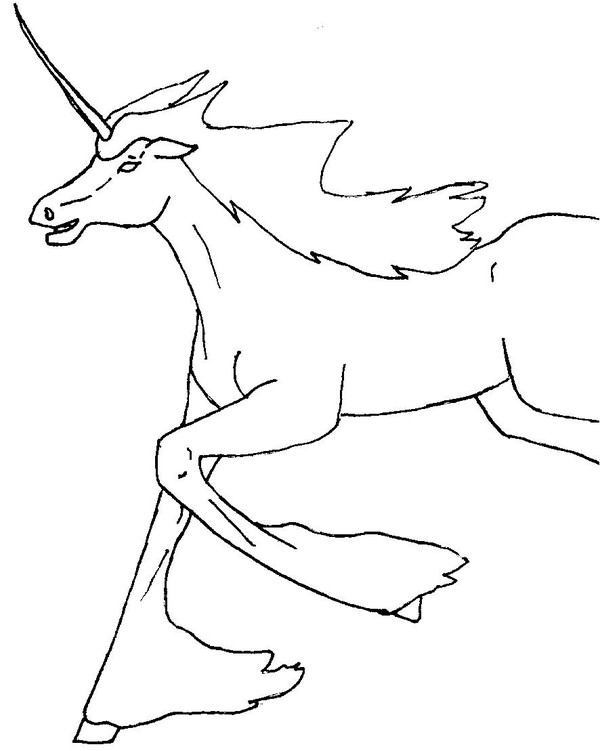 Unicorn RUn