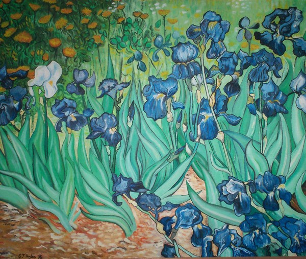 Irises