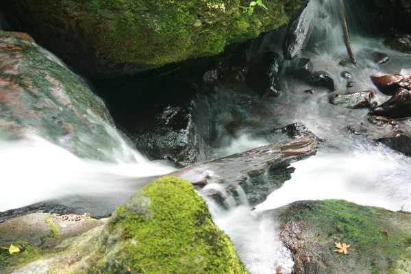 Water