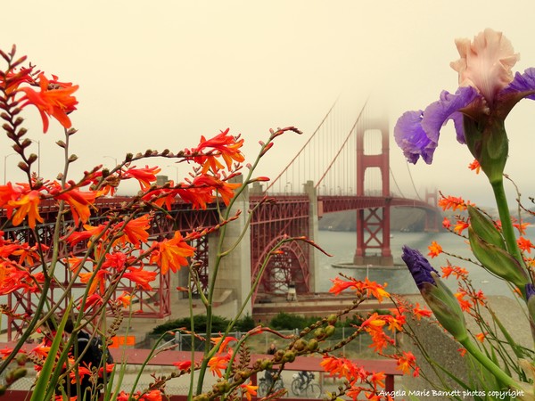 Golden Gate