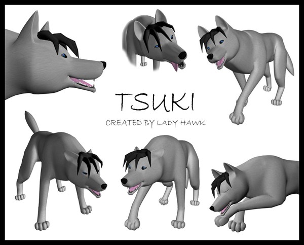 Tsuki Character Sheet